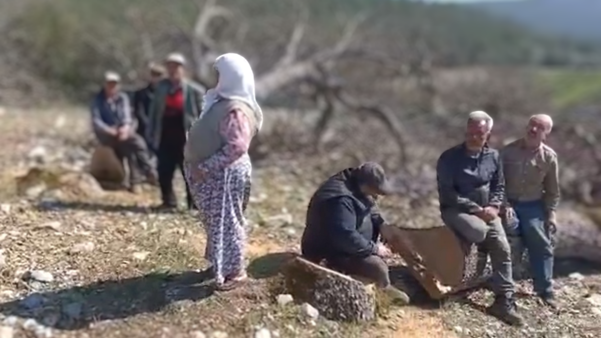 CHP’li Belediyenin Asırlık Ağaç Kıyımını Yargıya Taşıyor