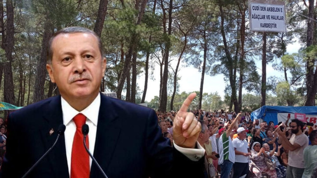 Erdoğan, Akbelen İle İlgili Konuştu