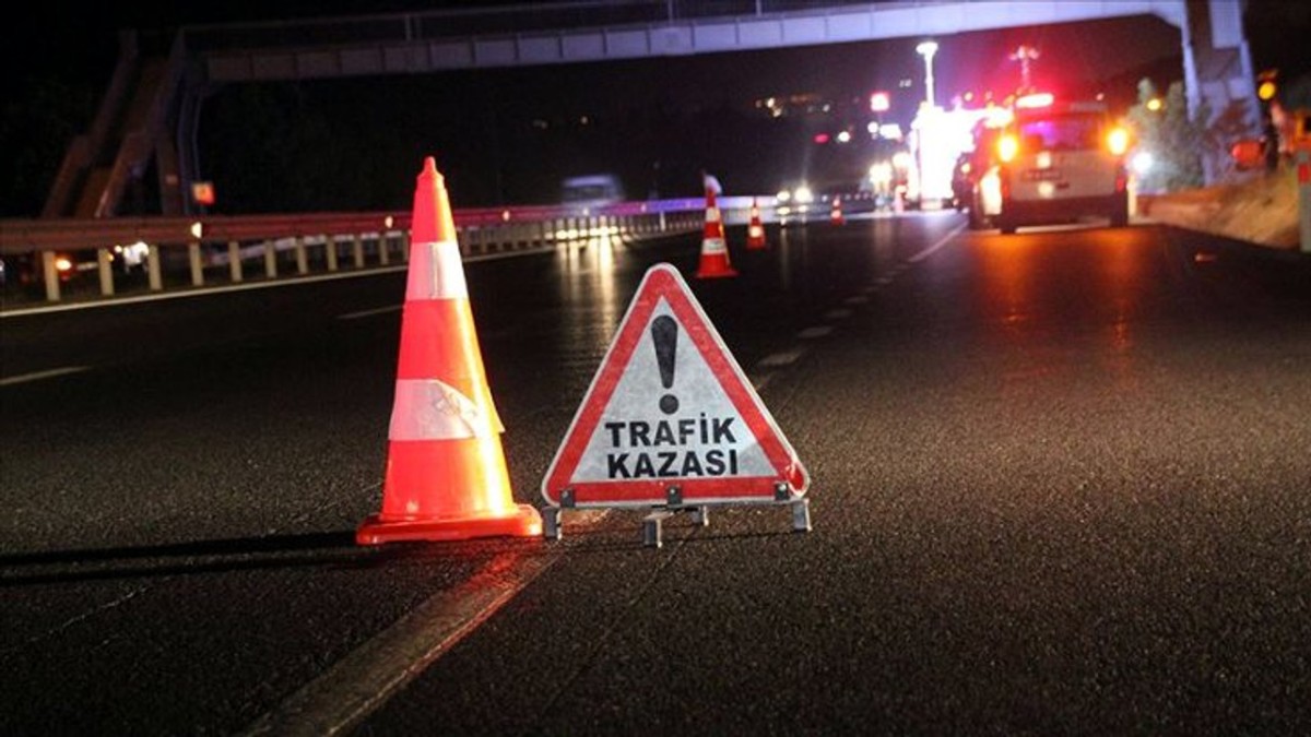 Milas'da Trafik Kazası 