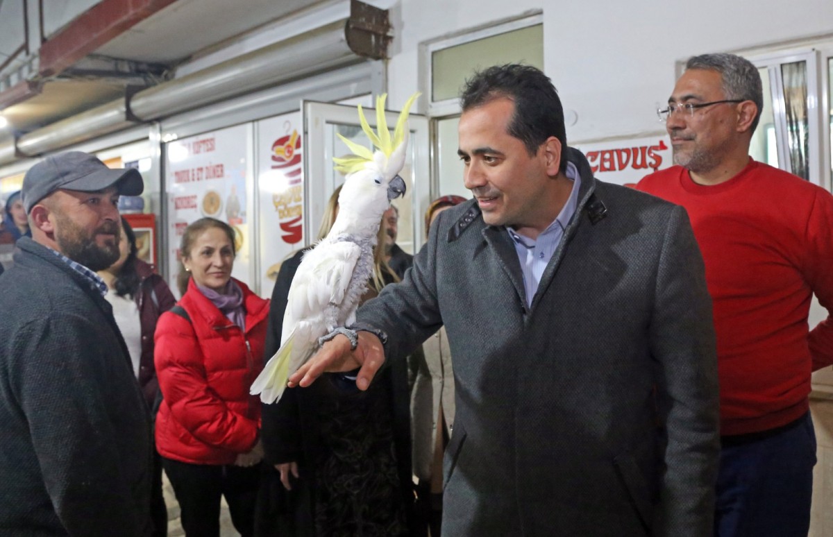 AK Parti'li adayın papağan ile sohbeti sosyal medyada ilgi odağı oldu