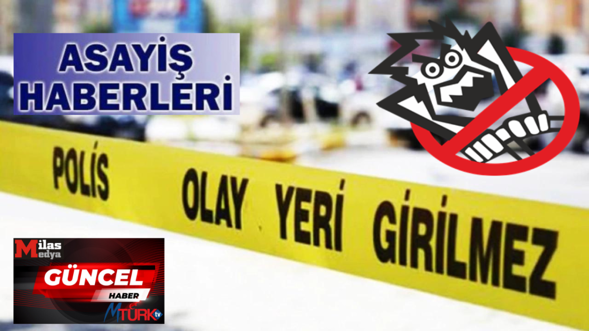 Milas'ta Trafik Kazası 