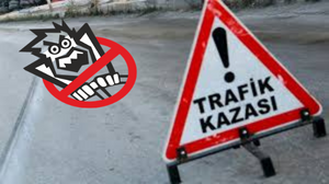 Milas'da Trafik Kazası 1 Yaralı 