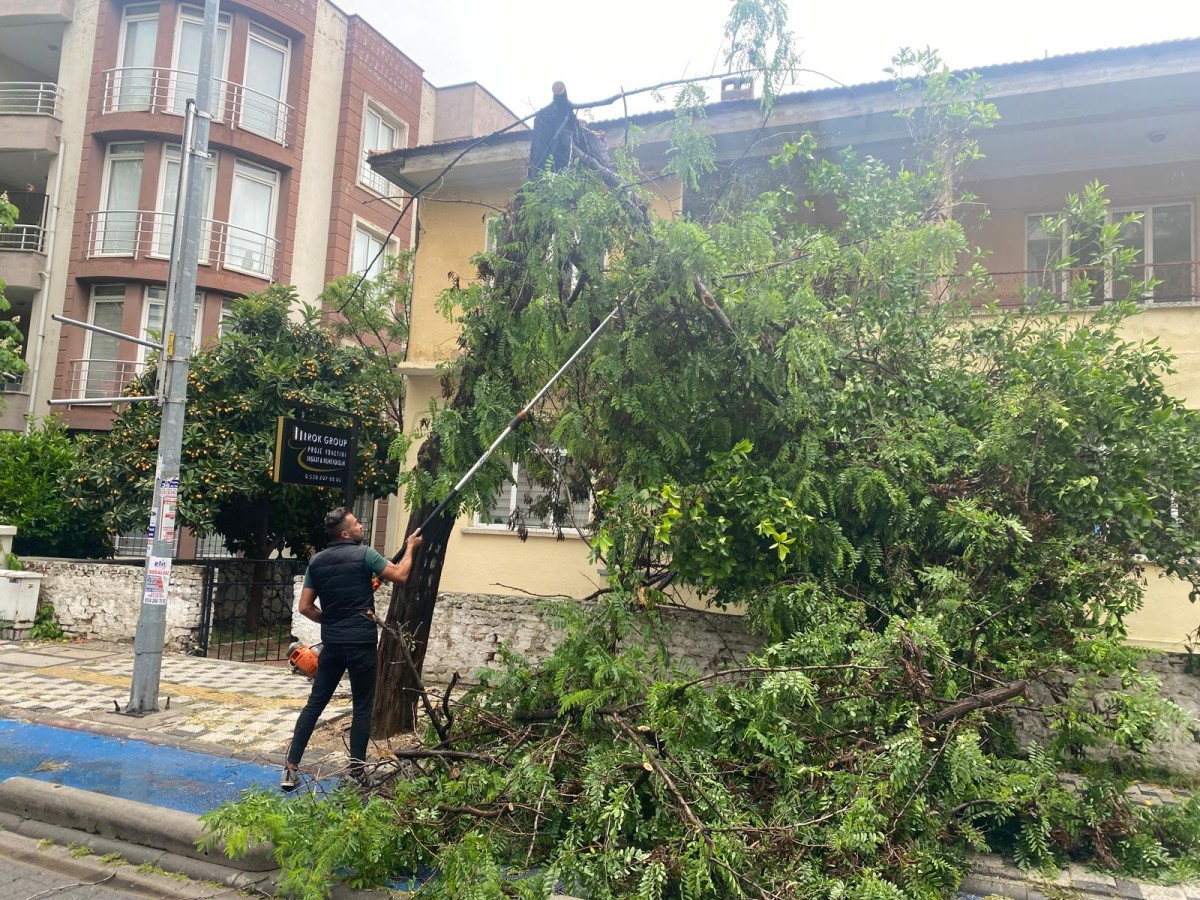 Milas Belediyesi Ekipleri Yoğun Çalışmalar Gerçekleştirdi