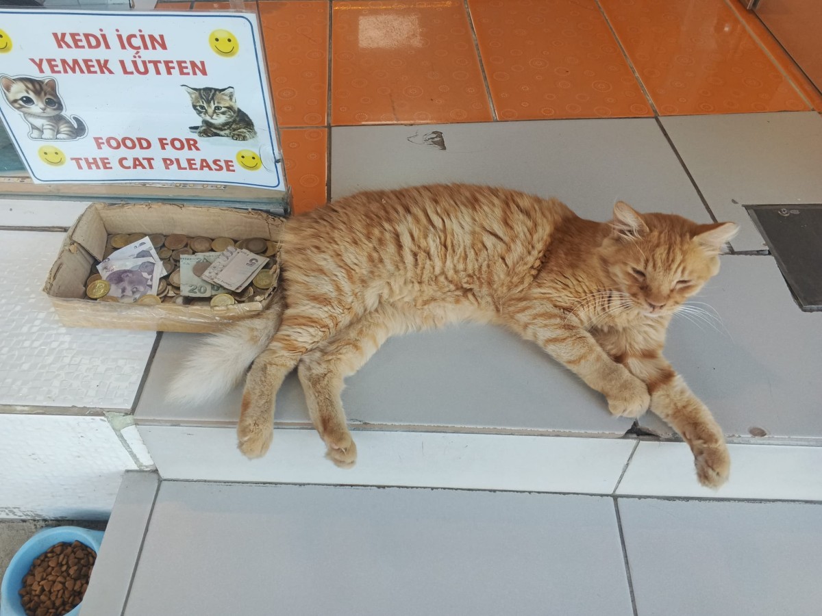 Fethiye Esnafından Kalpleri Isıtan Çözüm: 