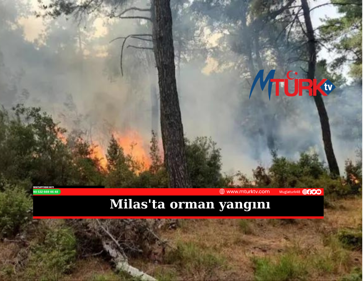 Milas'ta Orman Yangını 