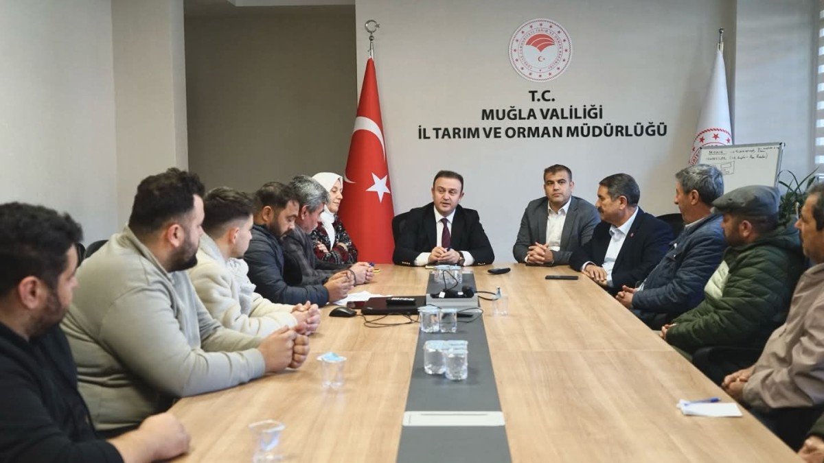 Muğla’da Buzağı Küpeleme Yetkisi ...