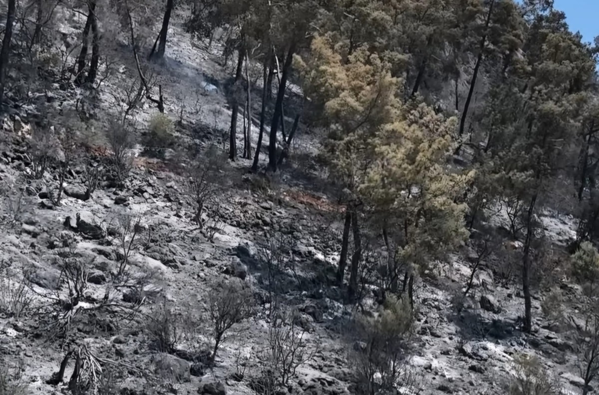 Fethiye Gökçeovacık'ta Yangın Sonrası Hasar Tespit Çalışmaları Başladı