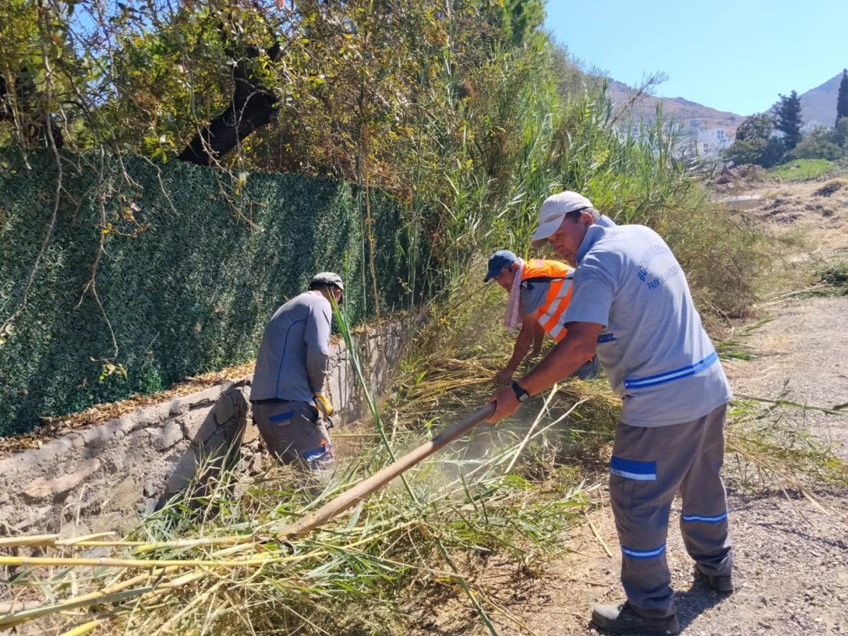 Bodrum’da Ot Temizliği Çalışmaları Sürüyor